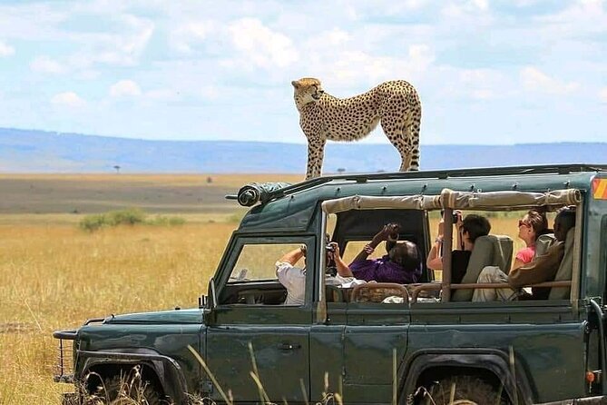 2 days Tarangire and Ngorongoro short safari - Key points before you book