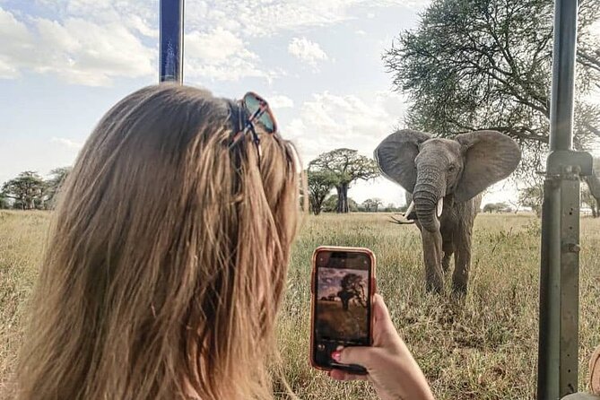 2 days Tarangire and Ngorongoro short safari - Overnight arrangements and the full-board promise