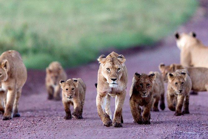 2 Days Tarangire & Ngorongoro Budget Safari Tour Tanzania - The overnight stop: budget comfort with a hot meal
