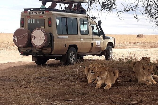 2 Days Tarangire & Ngorongoro Budget Safari Tour Tanzania - Day two: the Ngorongoro Crater