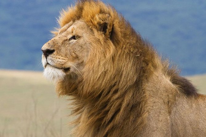 2 Days Tarangire & Ngorongoro Budget Safari Tour Tanzania - Who should choose this safari