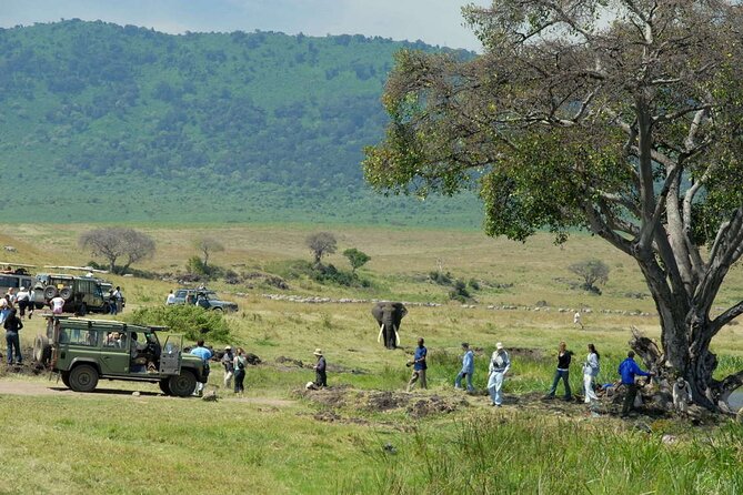 2 days Tour Tarangire & Ngorongoro - Why these two parks work well together