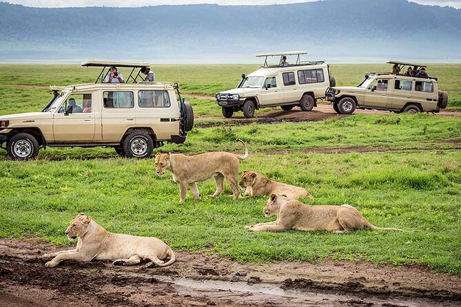 2 days Tour Tarangire & Ngorongoro - Day two: the first look at Ngorongoro