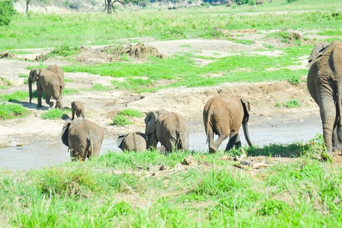 2 days Tour Tarangire & Ngorongoro - Who will enjoy this safari most