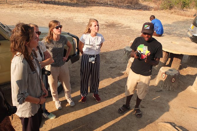 2 nights 3 days safari to mikumi national park - Day two: ten hours among the plains and water holes