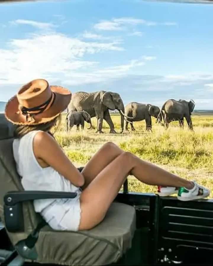 2Day Safari Tarangire and Ngorongoro Crater Join Group - Two parks, two different safari experiences