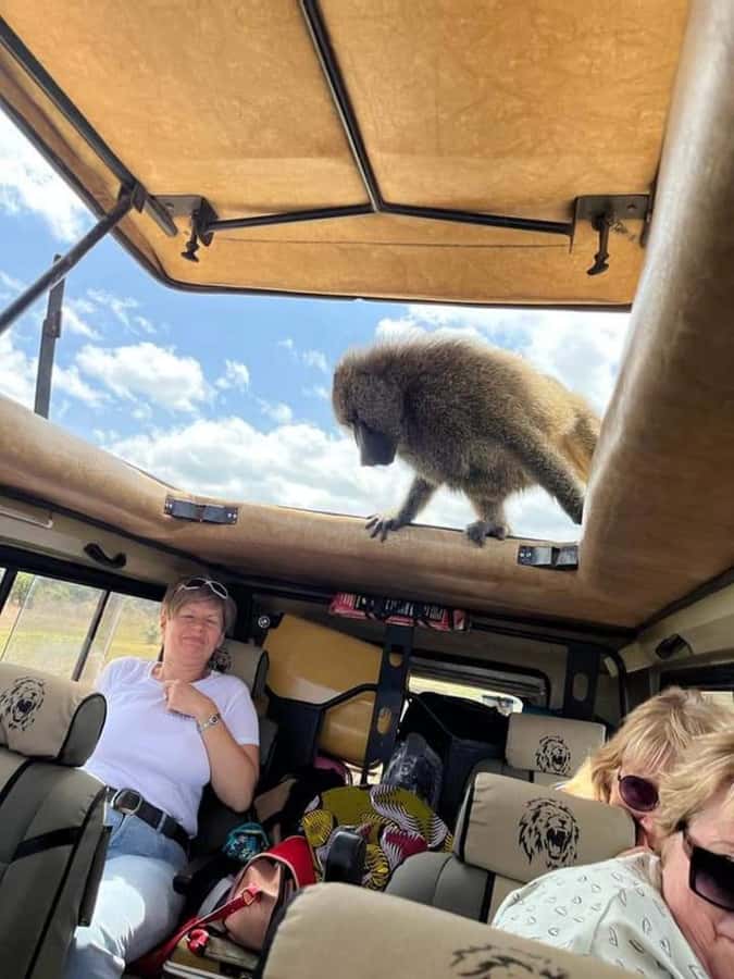 2Day Safari Tarangire and Ngorongoro Crater Join Group - What to pack for the vehicle and campsite
