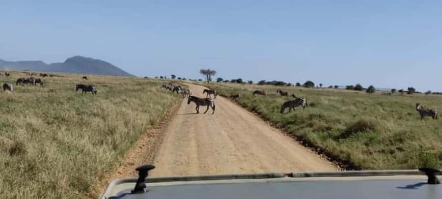 2Day Safari Tarangire and Ngorongoro Crater Join Group - Booking flexibility and practical arrangements