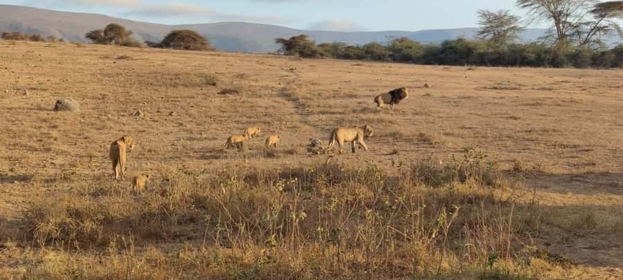 2Day Safari Tarangire and Ngorongoro Crater Join Group - Day one at Tarangire National Park