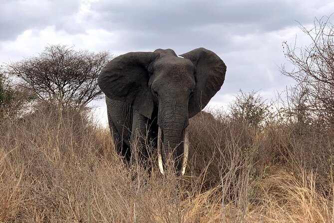 3-Day Adventure Camping Safari to Tarangire, Ngorongoro Crater, and Lake Manyara - Why this three-day route works