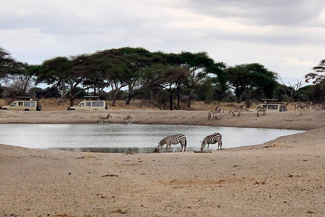 3-Day Adventure Camping Safari to Tarangire, Ngorongoro Crater, and Lake Manyara - Is $739 a fair price?