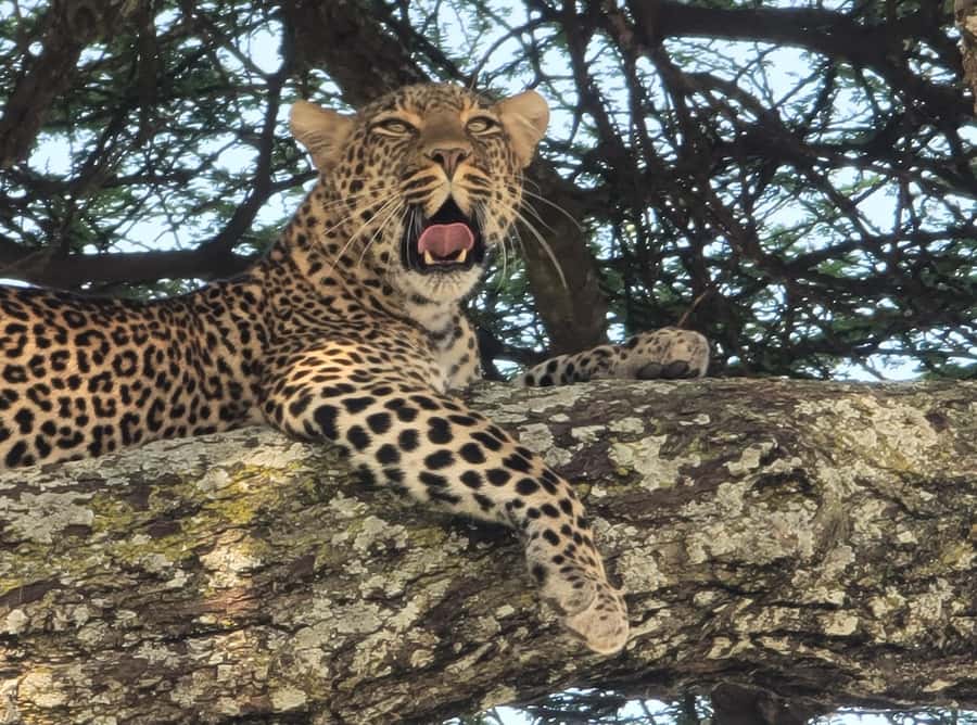 3 Day Budget Shared Safari To Serengeti & Ngorongoro Crater - Entering Ngorongoro Crater on the final morning