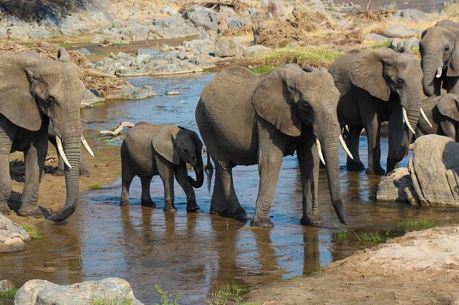 3-Day Camping Safari Tarangire, Lake Manyara & Ngorongoro crater - Why this safari works for a short Tanzania trip
