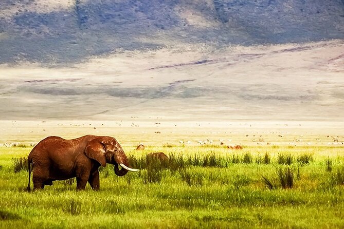 3-Day Camping Safari Tarangire, Lake Manyara & Ngorongoro crater - Is $735 a fair price?