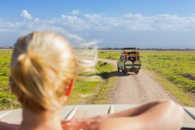 3 Day Classic, Guided Serengeti Safari - Day three: one last look, then back to Arusha