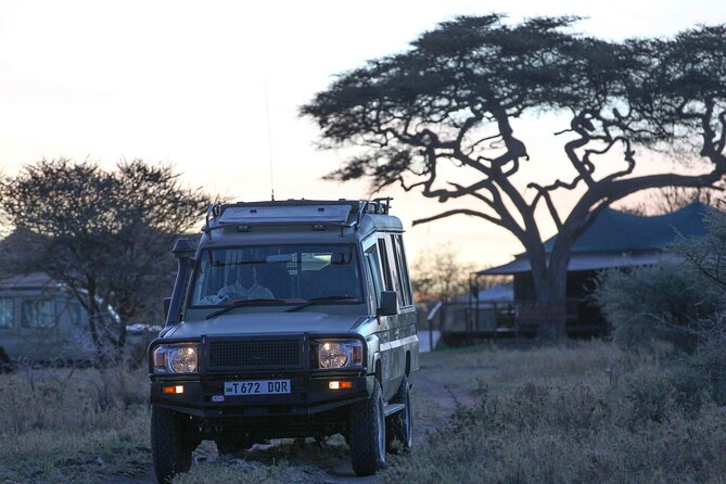 3-Day Classic Serengeti Safari - Why this short Serengeti safari works