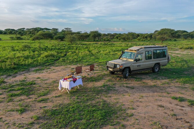 3-Day Classic Serengeti Safari - What is not included, and what you should plan