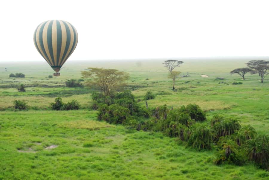 3-Day Experience Wildlife and Hot Air Balloon Adventures - Day 2: A sunrise balloon ride over Serengeti