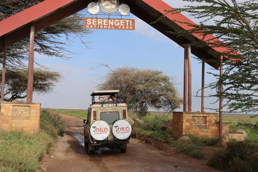 3-Day Experience Wildlife and Hot Air Balloon Adventures - Day 1: Arusha to Serengeti National Park