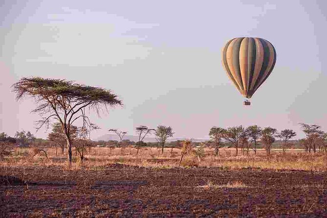 3 Day Joined Group Mid-range Safari Serengeti and Ngorongoro National Park - The Big Five promise, and what to expect