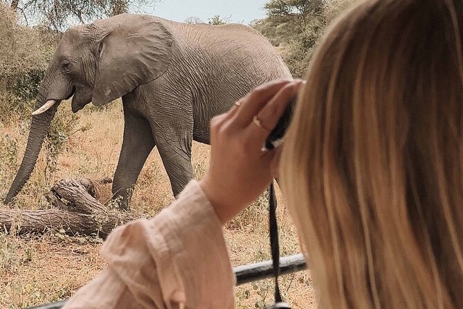 3-Day Manyara, Tarangire and Ngorongoro Crater - Key points to know before booking
