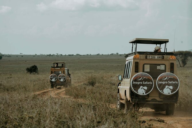 3-Day Manyara, Tarangire and Ngorongoro Crater - Who will like this safari most
