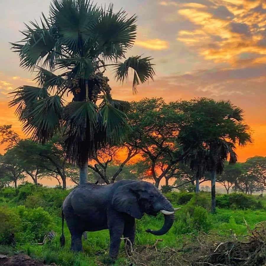 3-Day Mikumi Adventure Safari - Day One: Dar es Salaam to Morogoro and Mikumi