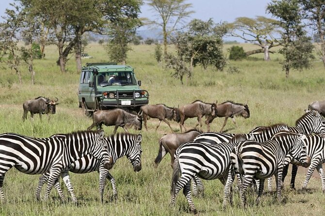 3-Day Ngorongoro Crater Manyara and Tarangire Safari from Arusha - The safari at a glance