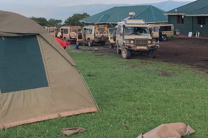 3-Day Ngorongoro Crater Manyara and Tarangire Safari from Arusha - Day 3: Lake Manyara and the return to Arusha