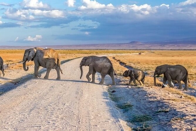 3-Day Ngorongoro Crater Manyara and Tarangire Safari from Arusha - Day 1: Tarangire’s elephants and baobab country