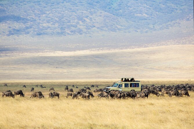 3-Day Private Safari to Lake Manyara, Tarangire & Ngorongoro - Why this three-day route works