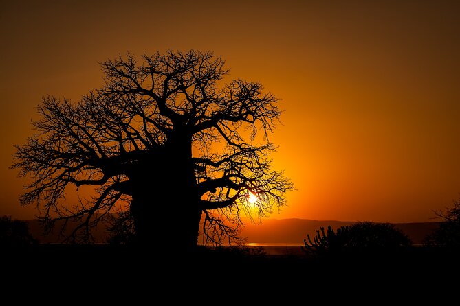 3-Day Private Safari to Lake Manyara, Tarangire & Ngorongoro - What the $1,426.30 price includes