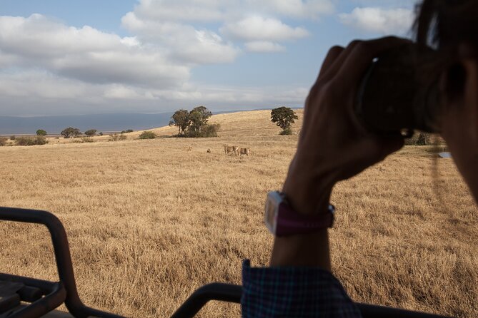 3 Day Private Serengeti Safari Tour with One Way Flight - Is $1,477 fair value?
