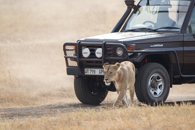 3 Day Private Serengeti Safari Tour with One Way Flight - Who should book this safari?