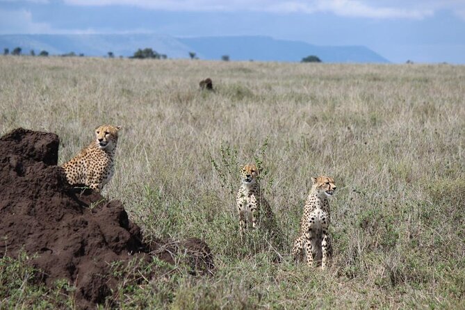 3 Day Safari from Arusha: Serengeti and Ngorongoro - Why this three-day route works