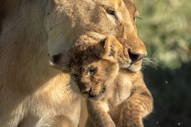 3-Day Safari to Ngorongoro, Tarangire & Lake Manyara NP - Why this three-day route works