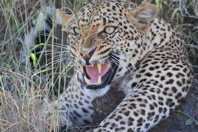 3-Day Safari to Ngorongoro, Tarangire & Lake Manyara NP - Food, lodging, and what the price really covers