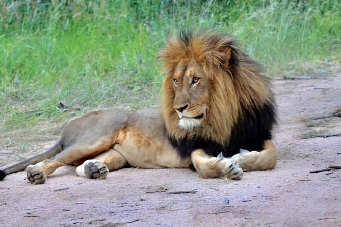 3-Day Safari to Ngorongoro, Tarangire & Lake Manyara NP - Booking details and cancellation