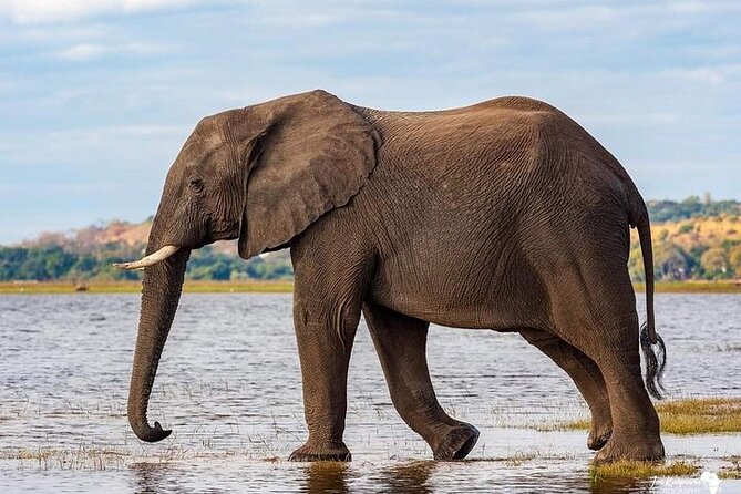 3 Day Safari to Serengeti National Park and Ngorongoro Crater - Why this short safari works