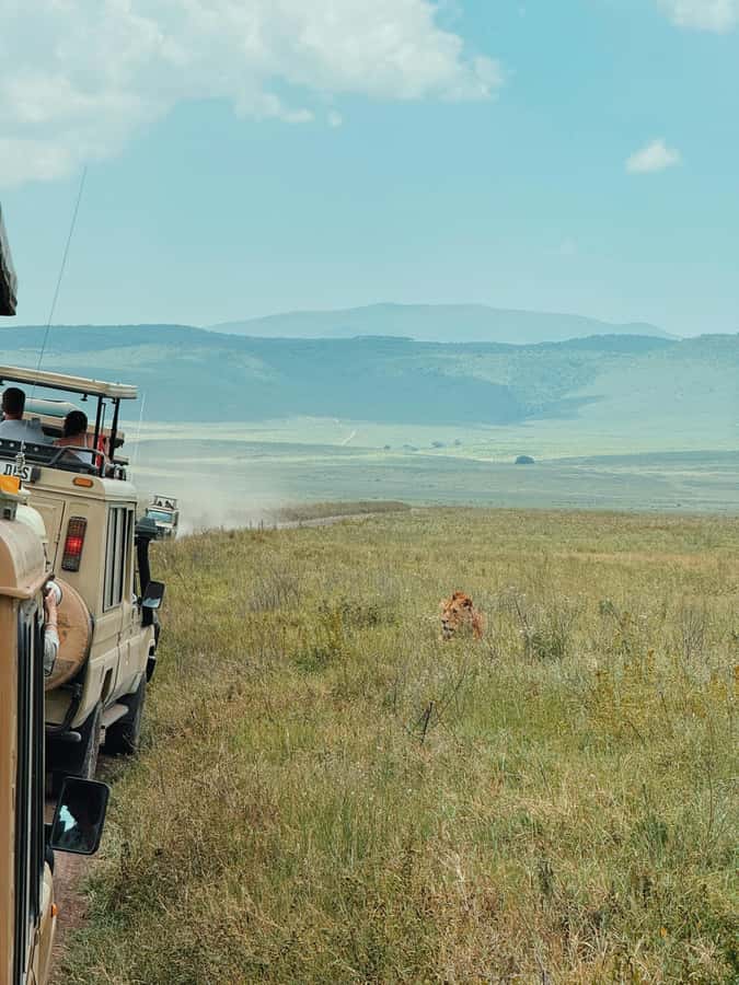 3-Day Safari to Serengeti & Ngorongoro + Balloon experience - Camping or lodge stay: know what the price includes