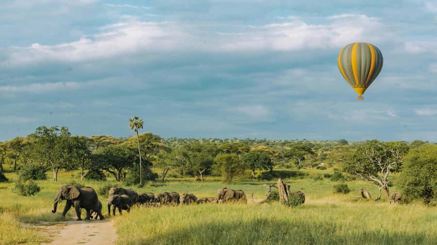 3-Day Safari to Serengeti & Ngorongoro + Balloon experience - What to pack for comfort and better sightings