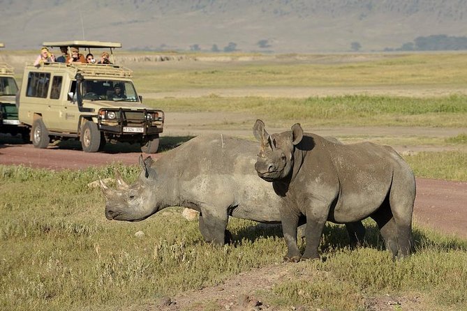3-Day Safari Tour to Tarangire National Park, Lake Manyara National Park and Ngorongoro Crater from Arusha - Meals, lodges, and the practical comfort level