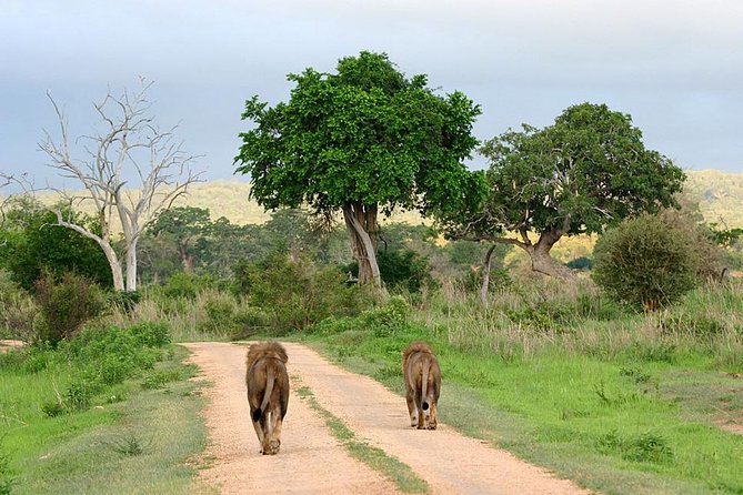 3-Day Safari Tour to Tarangire National Park, Lake Manyara National Park and Ngorongoro Crater from Arusha - Is $1,557.70 a fair price?