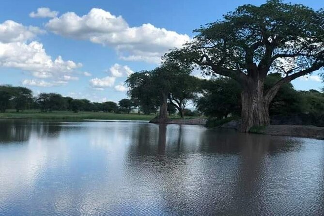 3-Day Serengeti NP & Ngorongoro Crater Safari - What this three-day route really gives you