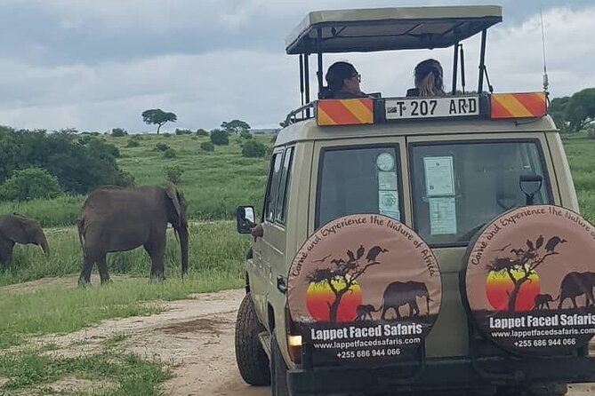 3-Day Serengeti NP & Ngorongoro Crater Safari - Food, age rules, and practical planning