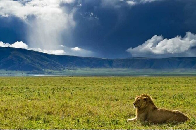 3 Day Sharing Safari - Manyara, Ngorongoro Crater and Tarangire National Parks - Key points at a glance
