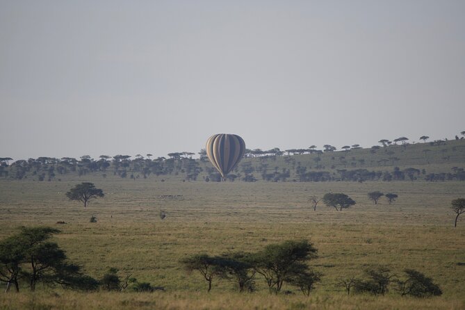 3 Day Sharing Safari - Manyara, Ngorongoro Crater and Tarangire National Parks - Day 3: Lake Manyara’s forest, lake, and birds