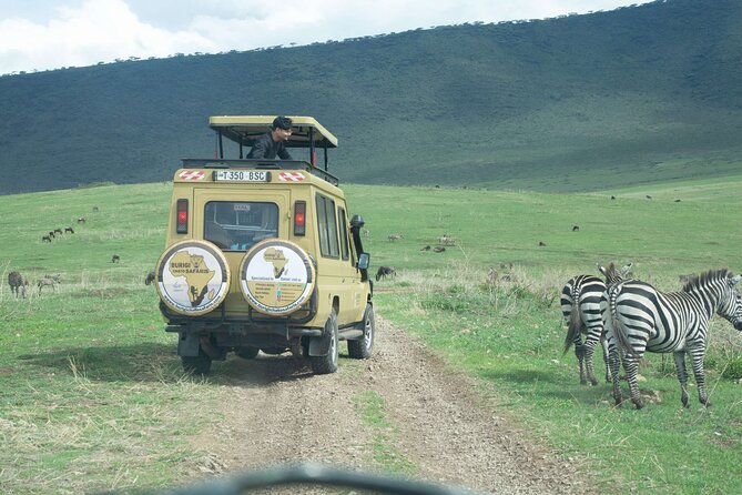 3-Day Tanzania Group Safari-Tarangire, Ngorongoro & Lake Manyara - Day 3: Lake Manyara, then back to Arusha