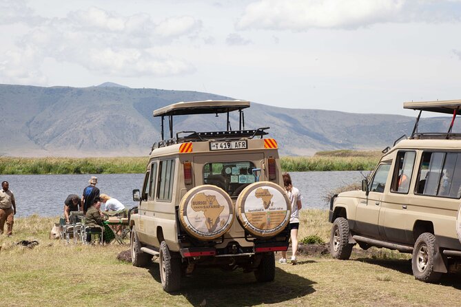3-Day Tanzania Group Safari-Tarangire, Ngorongoro & Lake Manyara - Who will enjoy this safari most
