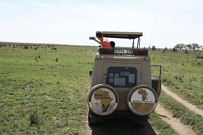 3-Day Tanzania Group Safari-Tarangire, Ngorongoro & Lake Manyara - Day 2: A full game drive inside Ngorongoro Crater